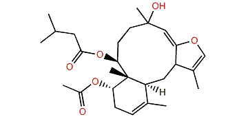 (1R,2S,6E,10S,11Z,14S)-14-Acetoxy-5-hydroxy-18-oxobriara-6,8(17),11-trien-2-yl 3-methylbutanoate